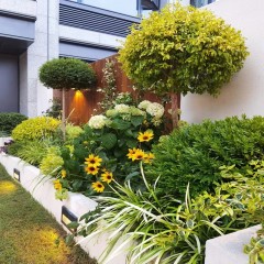 花坛  Flower beds