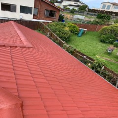 屋顶清洗喷漆  Roof cleaning and painting