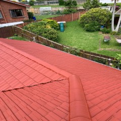 屋顶清洗喷漆  Roof cleaning and painting