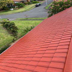 屋顶清洗喷漆  Roof cleaning and painting