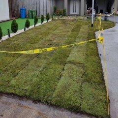 庭院真草翻新  Patio real grass renovation