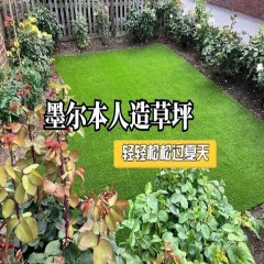 免打理人造草坪  No-take care of artificial turf