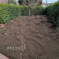 庭院真草铺设 Real grass paving in the courtyard