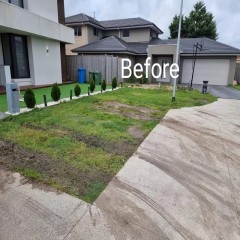 庭院真草翻新  Patio real grass renovation