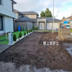 庭院真草翻新  Patio real grass renovation