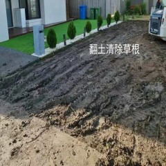 庭院真草翻新  Patio real grass renovation