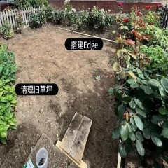 免打理人造草坪  No-take care of artificial turf