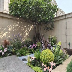 庭院花坛改造 Courtyard flower bed renovation