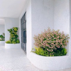 走廊花坛设计 Corridor flower bed design