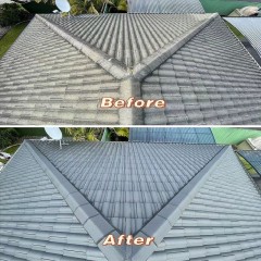 屋顶清洗、喷漆翻新 Roof cleaning, painting and renovation