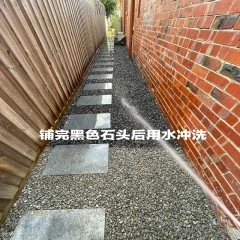 后院走道鹅卵石铺设 Backyard walkway cobblestone paving