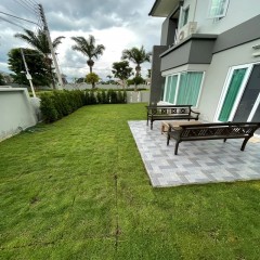 真草地面庭院造景  Real grass ground yard landscaping