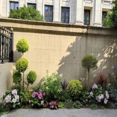 庭院花坛改造 Courtyard flower bed renovation