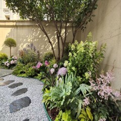 庭院花坛改造 Courtyard flower bed renovation