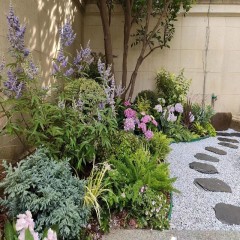 庭院花坛改造 Courtyard flower bed renovation