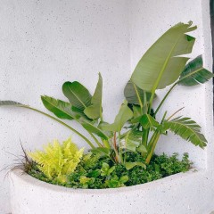 走廊花坛设计 Corridor flower bed design