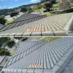 屋顶清洗、喷漆翻新 Roof cleaning, painting and renovation