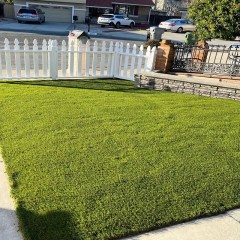 墨尔本花园改造前院真草铺设 Melbourne Gardens renovates front yard with real grass paving