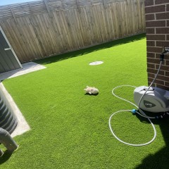 后院人工草铺设 Backyard artificial grass laying