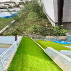 庭院人工草坪免打理 Artificial lawn for courtyard without care