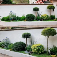 花园花坛设计改造 Garden flower bed design renovation