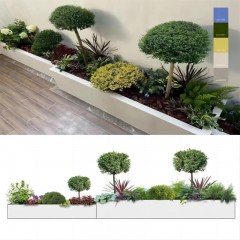 花园花坛设计改造 Garden flower bed design renovation