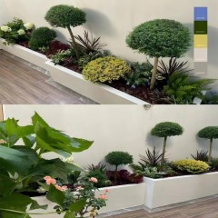 花园花坛设计改造 Garden flower bed design renovation