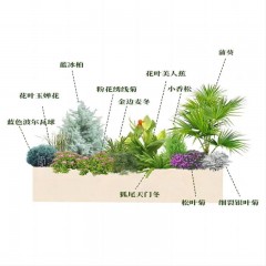 庭院设计花坛安装 Garden design flower bed installation