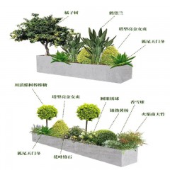 承接植物及景观设计 Undertake plant and landscape design