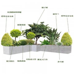 承接植物及景观设计 Undertake plant and landscape design