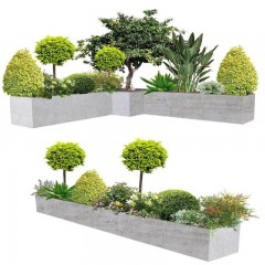 承接植物及景观设计 Undertake plant and landscape design