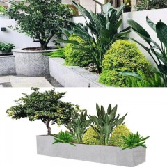 承接植物及景观设计 Undertake plant and landscape design