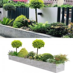 承接植物及景观设计 Undertake plant and landscape design