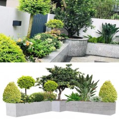 承接植物及景观设计 Undertake plant and landscape design