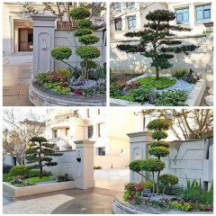 别墅花坛改造 Villa flower bed renovation