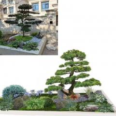 别墅花坛改造 Villa flower bed renovation