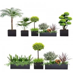 花坛植物搭配设计施工一体 Flower bed plant with the design and construction of one