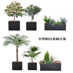 花坛植物搭配设计施工一体 Flower bed plant with the design and construction of one