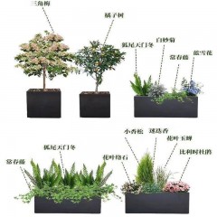 花坛植物搭配设计施工一体 Flower bed plant with the design and construction of one