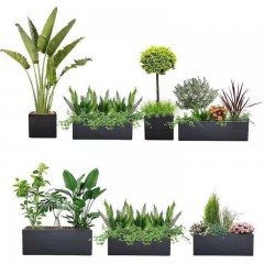 花坛植物搭配设计施工一体 Flower bed plant with the design and construction of one