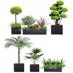 花坛植物搭配设计施工一体 Flower bed plant with the design and construction of one