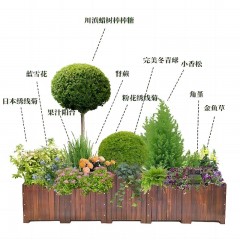 庭院木结构花坛设计 Courtyard wood structure flower bed design