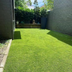 庭院人工草坪 Artificial lawn for courtyard