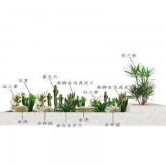 花坛植物布局设计 Flower bed plant layout design