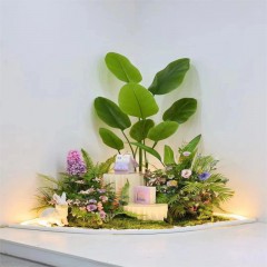 墙角造景设计 Wall corner landscaping design